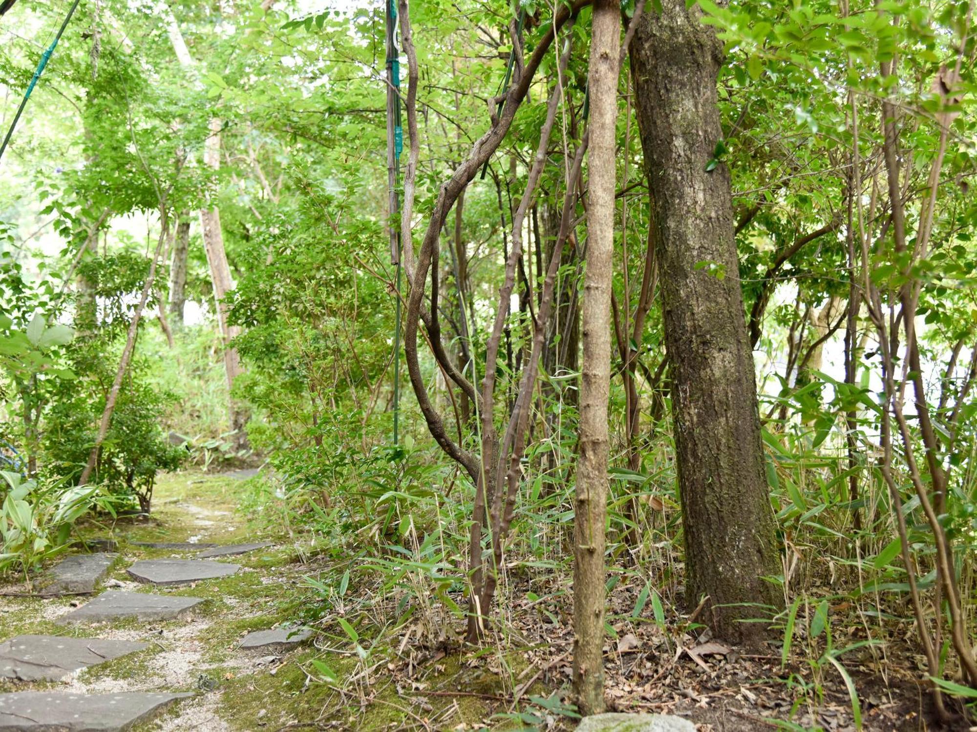 Oyado Yumechidori Hotel Saga Exterior photo